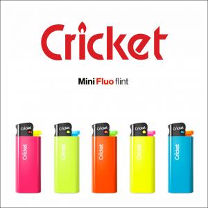 CRİCKET TAŞLI MİNİ